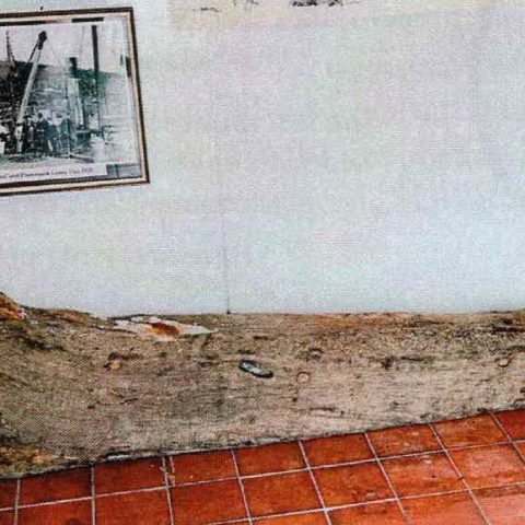 Deadwood Knee