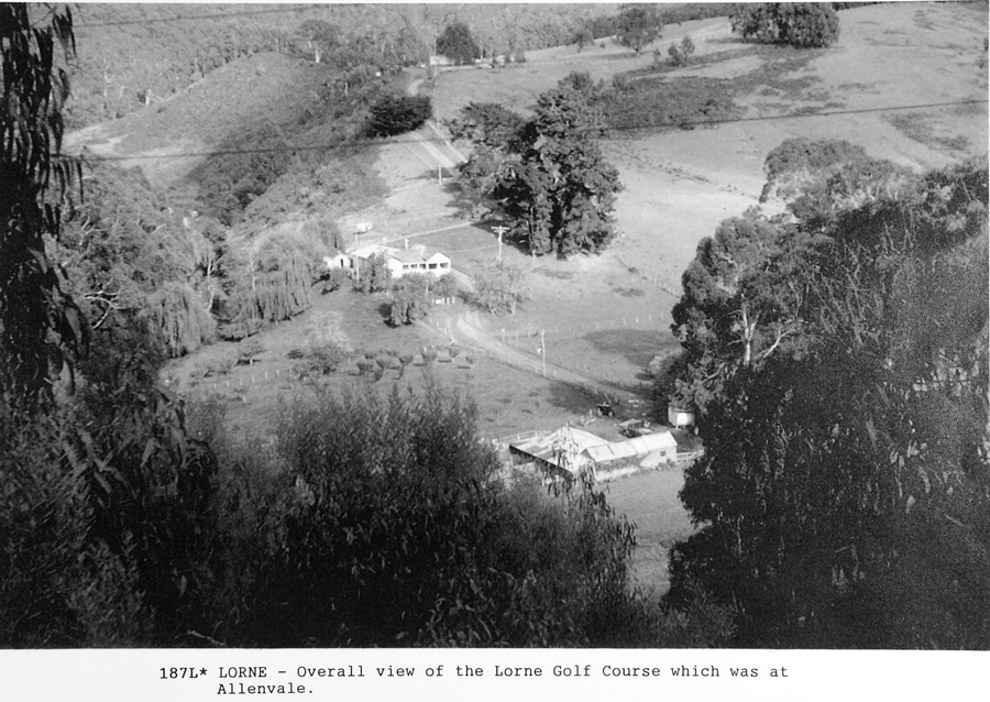 1954
