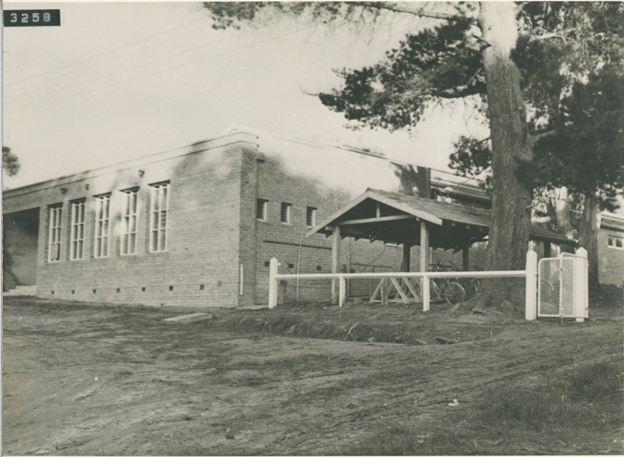 1954