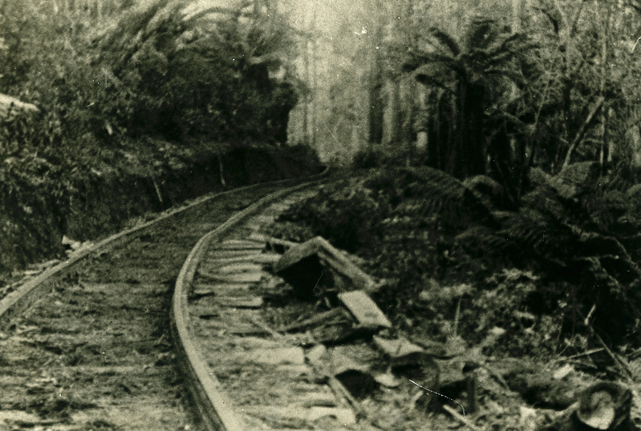 1904